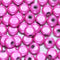 Deep Pink